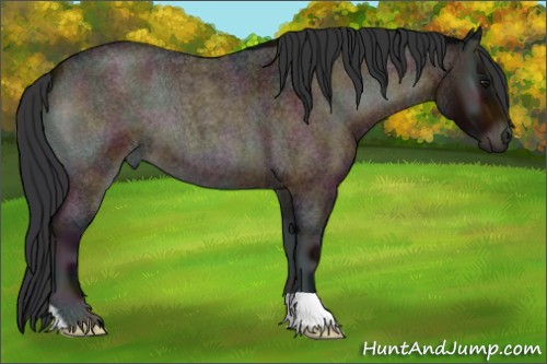 Horse Color:Midnight Brown Roan Onyx 