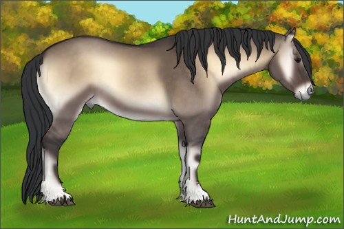 Horse Color:Brown Onyx Sabino 