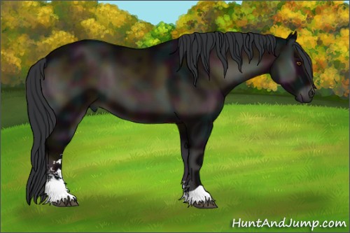 Horse Color:Midnight Brown Onyx Sabino 