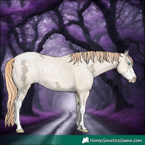 Horse Color:White Spotted Amber Cream Champagne Ice Pearl 