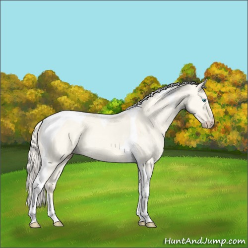 Horse Color:Cremello Dun Tobiano 