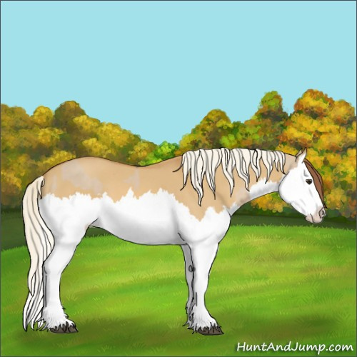 Horse Color:Red Dun Splash  and Palomino Dun Splash 