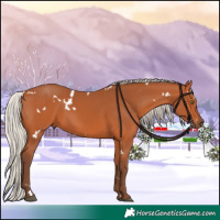 Horse Color:White Spotted Silver Bay Rabicano