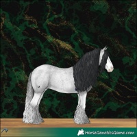 Horse Color:Brown Chinchilla Roan Dun Splash 