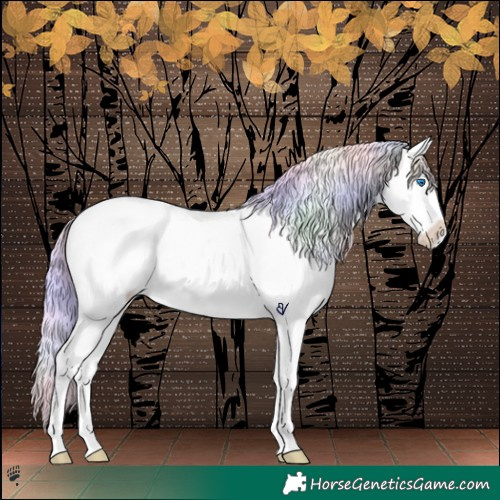 Horse Color:Platinum Nacre Palomino Roan Pearl Splash Appaloosa 