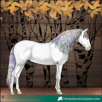 Horse Color:Platinum Nacre Palomino Roan Pearl Splash Varnish 