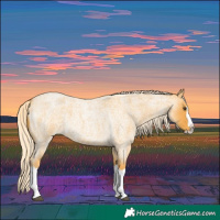 Horse Color:Palomino Roan Splash 