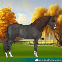 Horse Color:Midnight Classic Champagne Ice Onyx Rabicano 