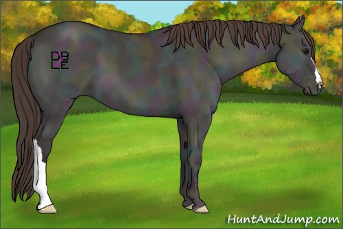 Horse Color:Midnight Classic Champagne Ice Onyx 