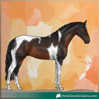 Horse Color:Gray Brown Tobiano