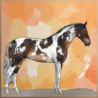 Horse Color:Gray White Spotted Silver Brown Tobiano Rabicano 
