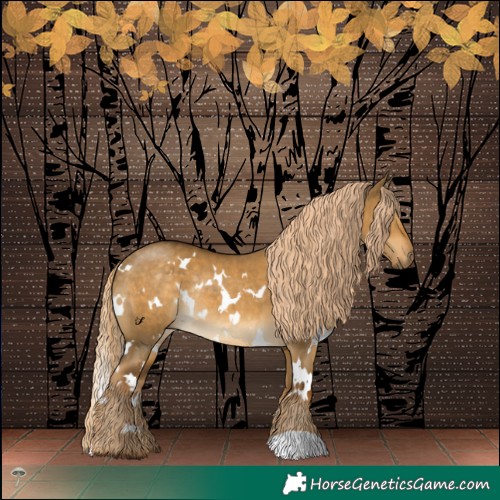 Horse Color:White Spotted Chocolate Palomino Dun Mushroom Rabicano 