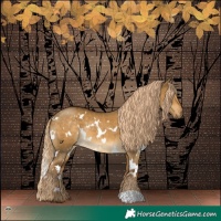 Horse Color:White Spotted Chocolate Palomino Dun Mushroom Rabicano