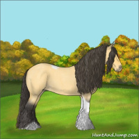 Horse Color:Buckskin Roan Tobiano