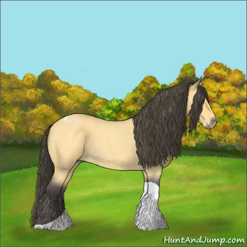 Horse Color:Buckskin Roan Tobiano 