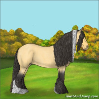 Horse Color:Buckskin Roan Tobiano 