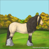 Horse Color:Buckskin Roan Tobiano 
