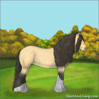 Horse Color:Buckskin Roan Tobiano 