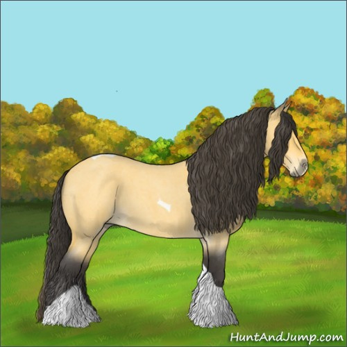 Horse Color:Buckskin Roan Tobiano