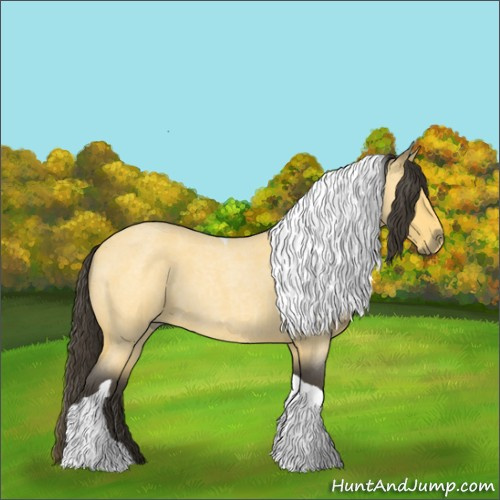 Horse Color:Buckskin Roan Tobiano