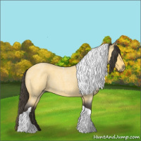 Horse Color:Buckskin Roan Tobiano 
