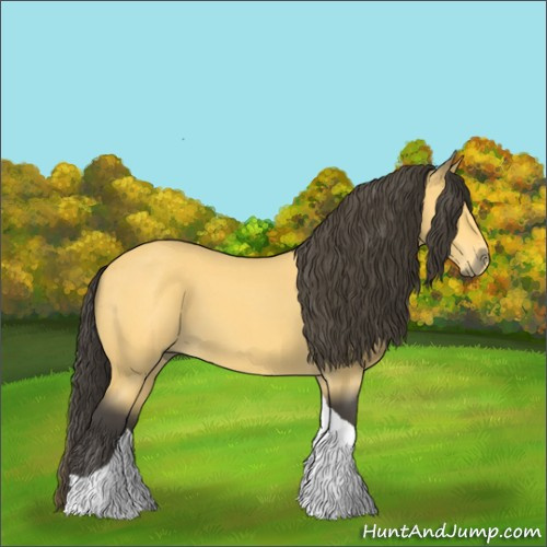 Horse Color:Buckskin Roan Tobiano
