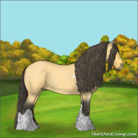 Horse Color:Buckskin Roan Tobiano
