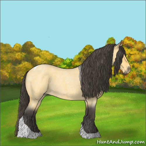 Horse Color:Buckskin Roan Tobiano