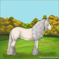 Horse Color:Cremello 