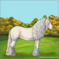 Horse Color:Cremello 