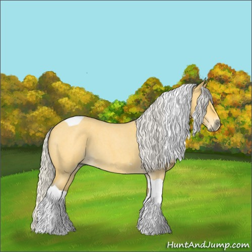 Horse Color:Silver Buckskin Roan Tobiano
