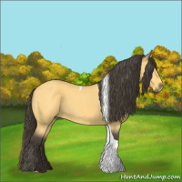 Horse Color:Buckskin Roan Tobiano 