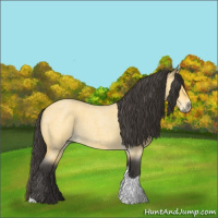 Horse Color:Buckskin Roan Tobiano 