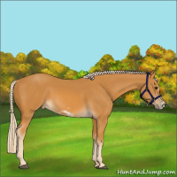 Horse Color:Palomino Frame 