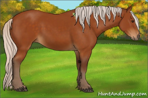 Horse Color:Silver Buckskin