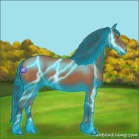 Horse Color:Thunderstruck Bay Roan 