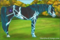Horse Color:Thunderstruck Brown Frame 
