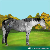 Horse Color:ERROR: UNKNOWN ANOMALY
