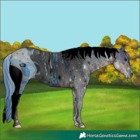 Horse Color:ERROR: UNKNOWN ANOMALY