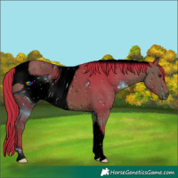 Horse Color:ERROR: UNKNOWN ANOMALY