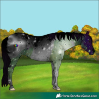 Horse Color:ERROR: UNKNOWN ANOMALY