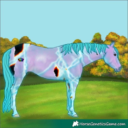 Horse Color:Thunderstruck Watercolor Buckskin Tobiano 