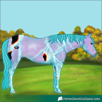 Horse Color:Thunderstruck Watercolor Buckskin Tobiano 