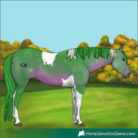 Horse Color:Watercolor Brown Tobiano 