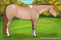 Horse Color:Bay Pearl Tobiano 