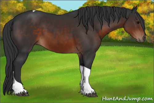 Horse Color:Brown Tobiano 