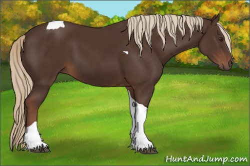 Horse Color:Liver Chestnut Tobiano 