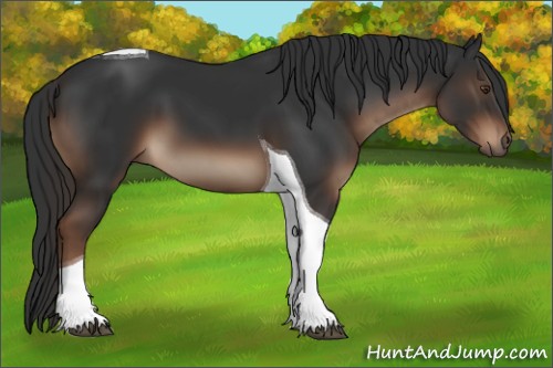 Horse Color:Liver Chestnut Tobiano 