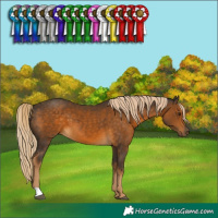 Horse Color:Chocolate Palomino 