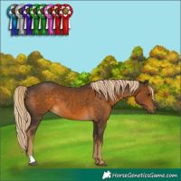 Horse Color:Chocolate Palomino 